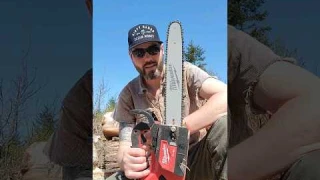 Milwaukee M18 2826 vs Stihl MS194T