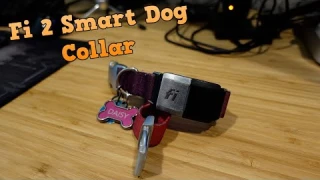 A SMART TRACKER FOR YOUR DOGS?!? - Fi 2 Smart Collar Review