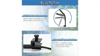 DaToo Mini Clip-On Aquarium Light Review: Is It the Best Light for Small Fish Tanks?