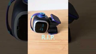 Emo robot got %boomed% #emorobot #robot #emopet #cute #funny #shorts