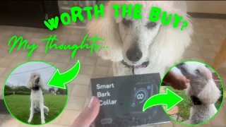 Bark Collar Smart Dog Bark Collar Review