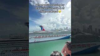Which one would u decide 😭 #royalcaribbean #carnivalcruise #royalcaribbeancruisevlog #travelvlogs