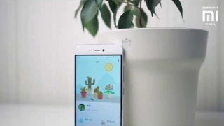 Huahuacaocao Smart Flower Pot - Review