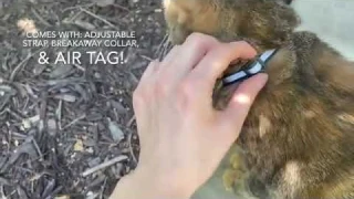 Anti-Lost Cat Collar for AirTag #GPSPetTracker #cataccessories  #petproducts