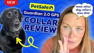 PetSafe Guardian 2.0 GPS Collar + Dog Fence Review: Real-Time Tracking That Works