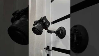 Wild shots made easy with this suction mount for mirrorless