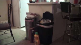 The Show Where I Review Things--Fancy Trash Cans