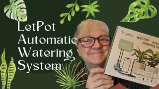 LetPot Automatic Watering System Review