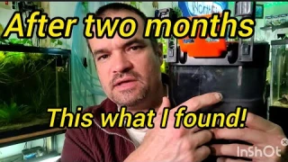 Hygger HOB canister Follow up!