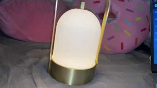 Tubicen Cordless portable touch lamp Review