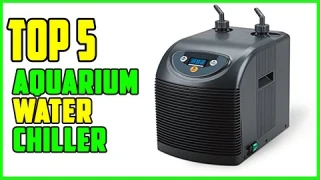 TOP 5 Best Aquarium Water Chiller 2025 | Top Fish Tank Water Chiller Reviews