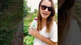 The Truth About Neem Oil