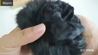 Luxury fur touch screen women s genuine leather gloves winter female sheepskin with rabbit ladies