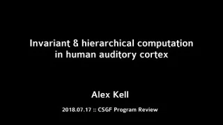 DOE CSGF 2018: Invariant and Hierarchical Computation in Human Auditory Cortex