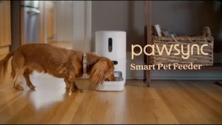 Introducing the Pawsync Smart Pet Feeder