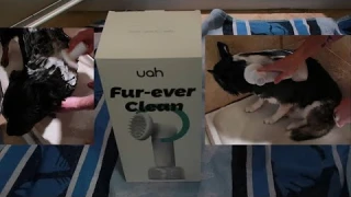 Uah Pet FUR-EVER CLEAN Automatic Foaming Soap Dispenser and Dog Bath Brush | Review