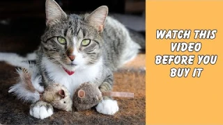 An Honest Review about OurPets Play-N-Squeak Twice the Mice Cat Toy