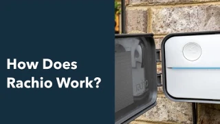 How Does Rachio Work?