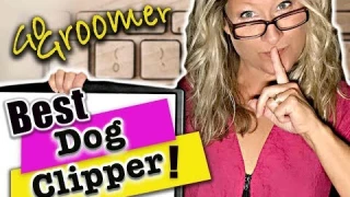 What is the Best Clipper for your Dog-Secrets you did not know