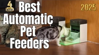 Top 5 Pet Feeders That Make Life Easier For You And Your Furry Friend!