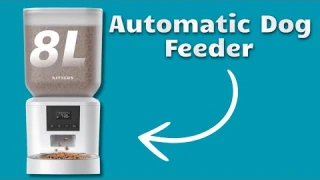 Nityers Automatic Dog Feeder Review: Large Capacity & Customizable Feeding