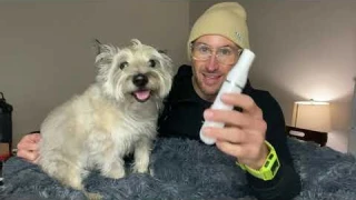 Groom Your Dog At Home- REVIEW
