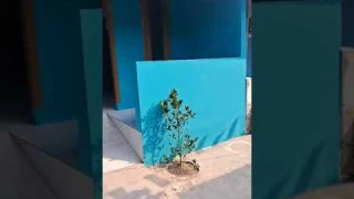 KONTRAKAN 2 PINTU MURAH DI BOJONGGEDE