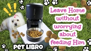 PETLIBRO Granary Automatic Pet Feeder 15 OFF ✅ Coton de Tulear I Lorentix