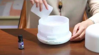 Water Soluble Essential Oil Aromatherapy Natural Fragrance Air Humidifier Air Diffuser10ml