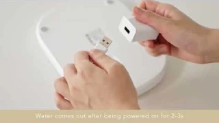 Dockstream Wireless Pump Fountain: How to assemble