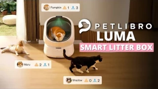 Petlibro Luma Review: Smart Litter Box Understands Your Cat’s Health and Habits