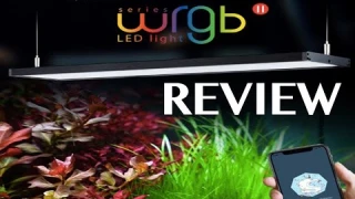 Chihiros WRGB 2 Full Review - Amazing Aquarium Light