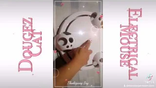 Dougez Cat Electrical Toy