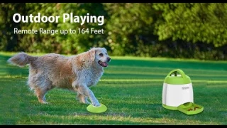 Petgeek Automatic Dog Treat Dispenser Review and Buying Guide