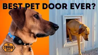 HighTechPet Wifi Powered Pet Door Full Review