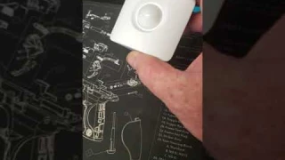 Smplisafe motion sensor Vs the cat