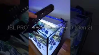 🆒🥶 JBL PROTEMP Cooler x300 (Gen 2) - Cooling fan for aquariums #shorts #meinjbl #myjbl