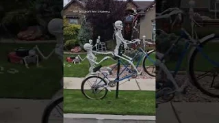 Skeleton crew takes over front yard of home as part of elaborate Halloween decorations