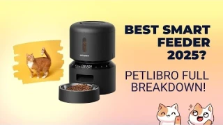 PETLIBRO Automatic Cat Feeder Review – Top Features You’ll Love!