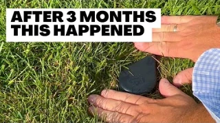 I Used GeoDrops Wireless Soil Moisture Sensor for 3 Months