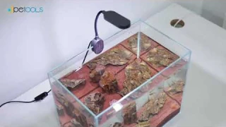 Boxtech USB 360° Rotation Full Spectrum Aquarium Light