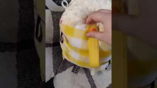 Sensory Cube Review /LittleBunnyShopp/Agere