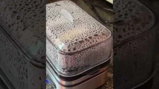 Evoloop Rapid Egg Cooker