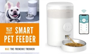 French Bulldog WOpet Smart Pet Feeder Unboxing and Review | Pet Product Review | Frenchie Trekker TV