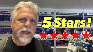 Local Fish Store EXCEEDS All Expectations!