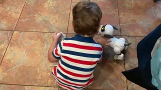 Robot dog toy review