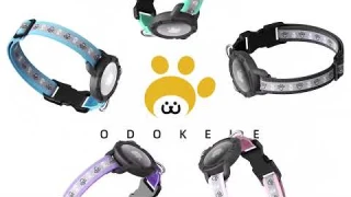 Reflective AirTag Cat Collar