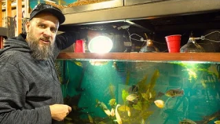 Stop Wasting Money on Aquarium Lights