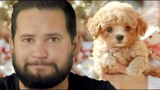 DON'T Buy AI Robot Puppies