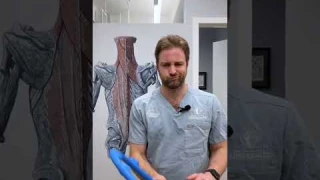 Viral Neck Massager corrects Neck Hump #chiropractictips